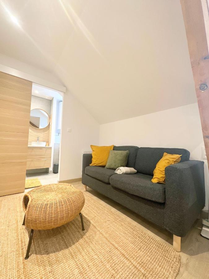 Sacre Appartement/Jardin/Parking/Wifi Rodez Ngoại thất bức ảnh