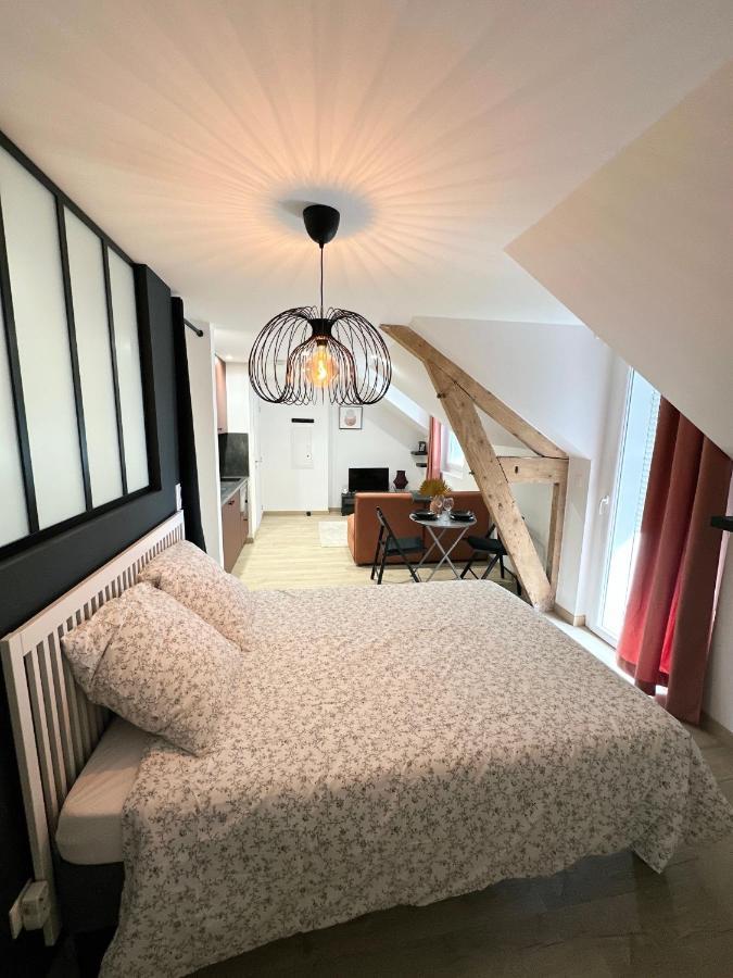 Sacre Appartement/Jardin/Parking/Wifi Rodez Ngoại thất bức ảnh
