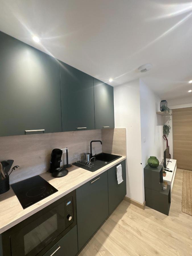 Sacre Appartement/Jardin/Parking/Wifi Rodez Ngoại thất bức ảnh